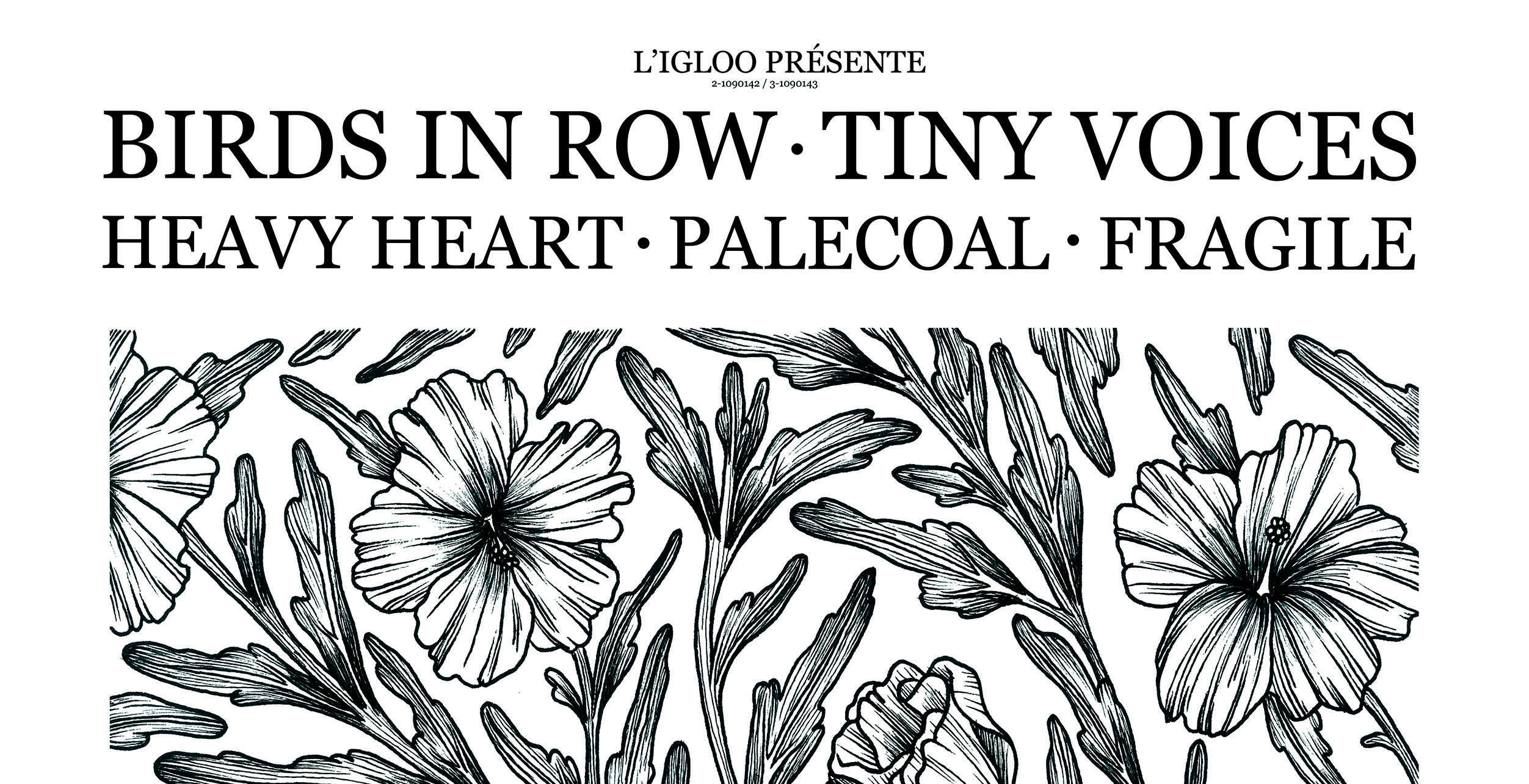 birds-in-row-tiny-voices-heavy-heart-fragile-palecoal